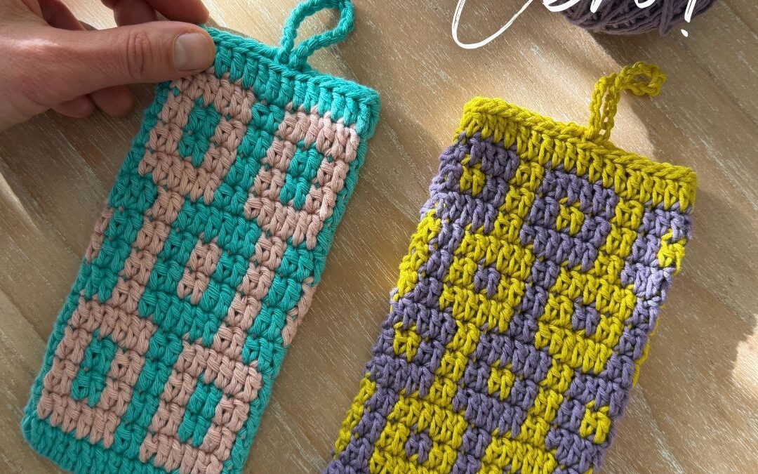Tapestry desde Cero! Clase 3: Tejemos un Estuche para Anteojos